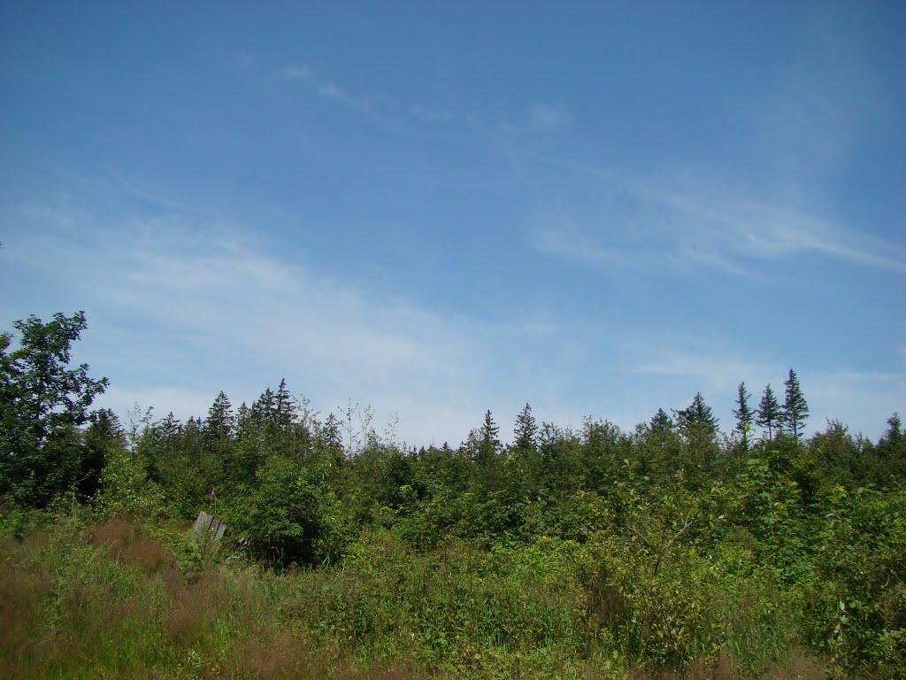 Rothaargebirge Juli 2012 by DortmundWestfalica