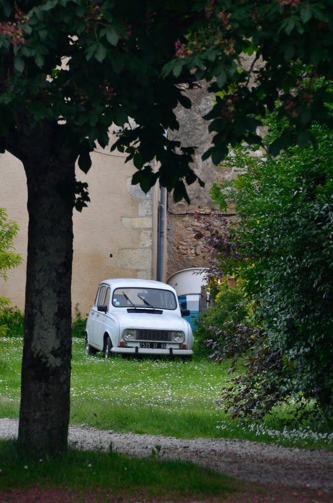 Angles-sur-l'Anglin by Andrew N Parker