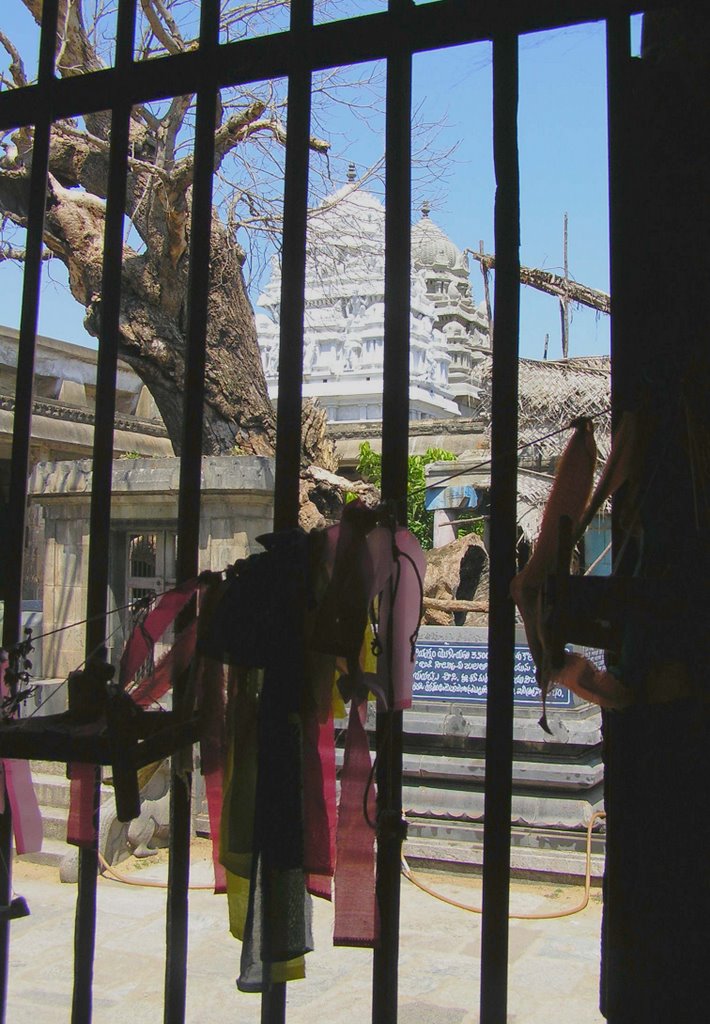 Prayer Ribbons at the Ekambaranathar Temple by Marilyn Whiteley