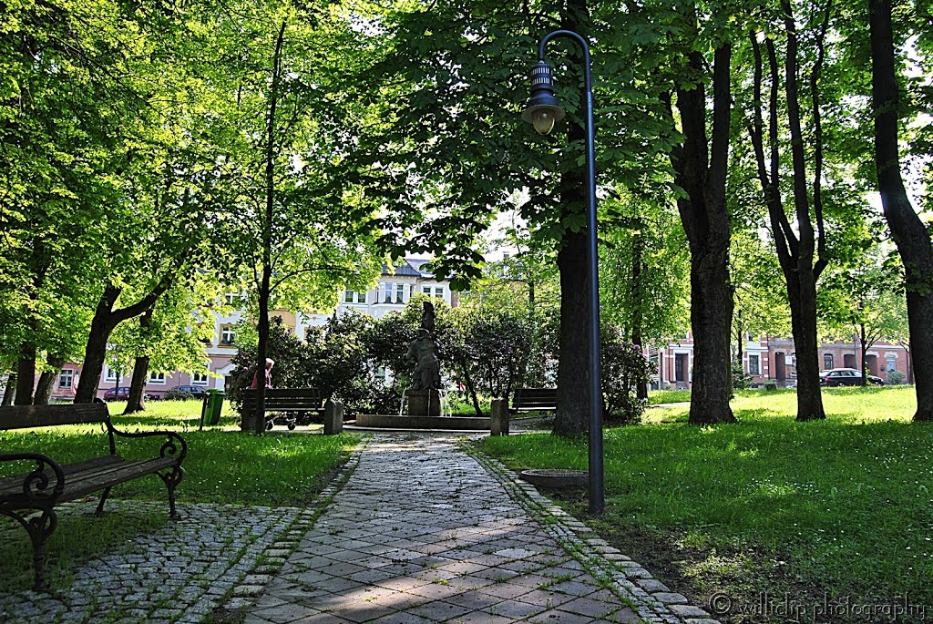 Schöneck am Albertplatz by williclip