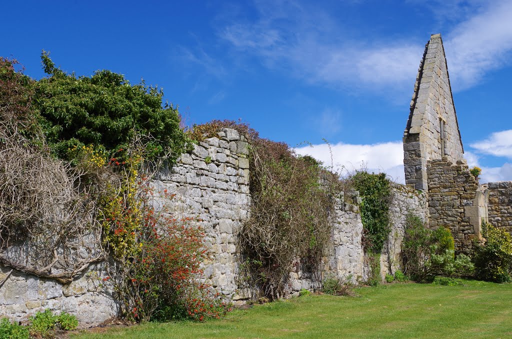 Ruins of Hulne Abbey 1242 AD, Hulne Park, Alnwick, Northumberland by guide paul