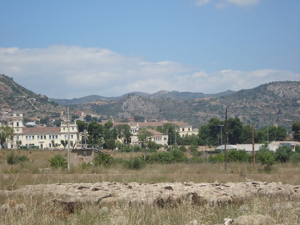 Rebaño, ovinos by Juan Emilio Prades Bel