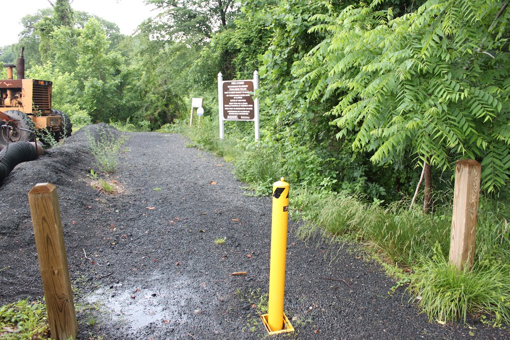 Trail leading to the put-in below Lake Jackson Dam by AceMcCloud