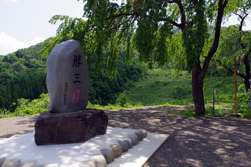 勝三桜の碑 by matsugae kiyoaki