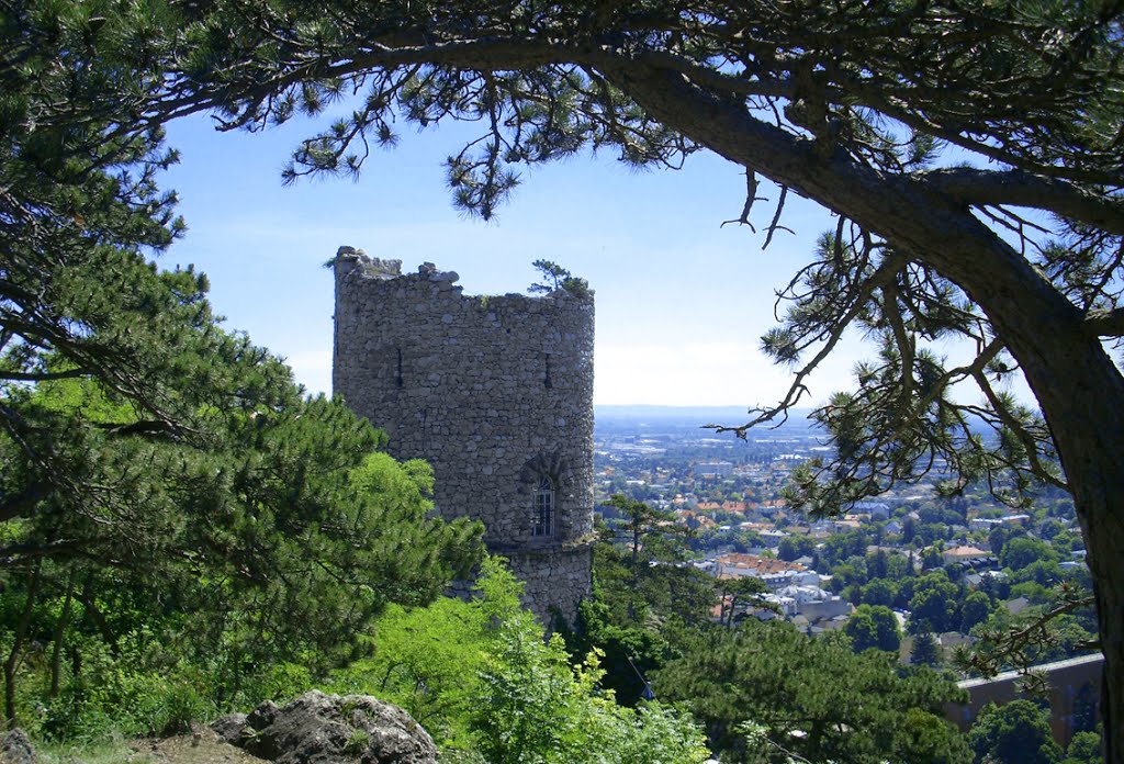 Schwarzer Turm by Don Claudio