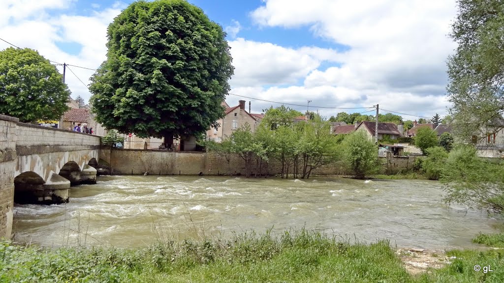 Argentenay - Vieux pont sur l'Armançon (affluent de l'Yonne, 202 km) by astrorail