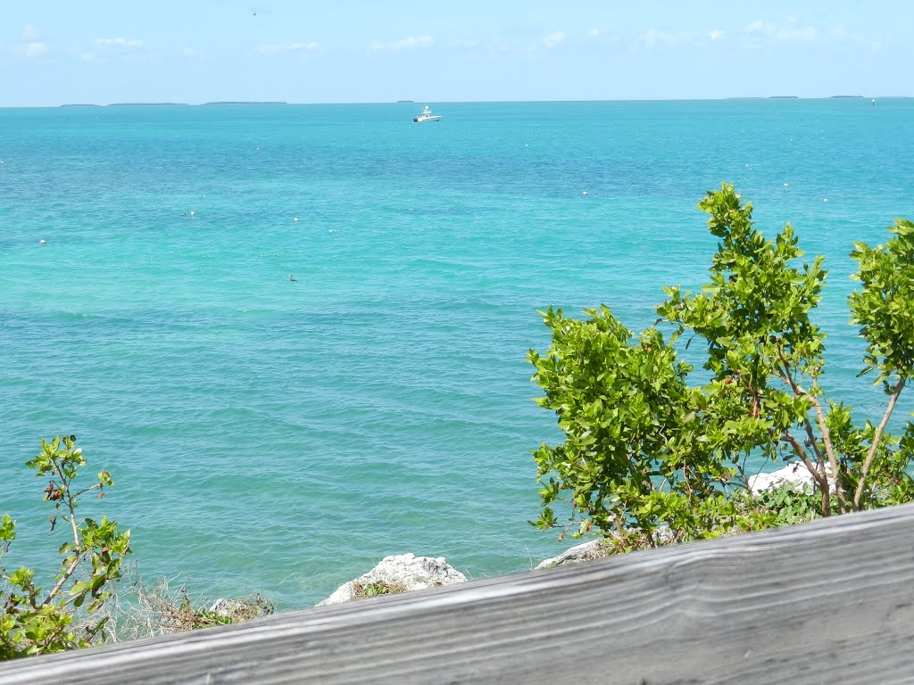 ESPECTACULAR VISTA MARINA, RODANDO VIA KEY WEST (NILDA) by Nilda Rodriguez