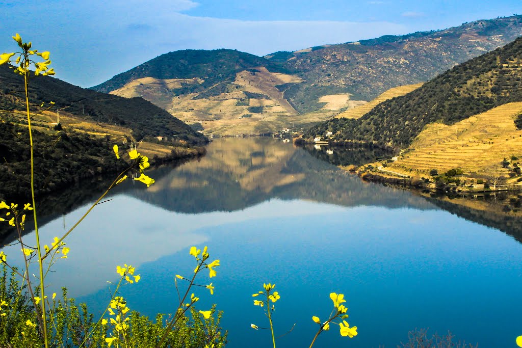 Spring in Douro by Mário Eloi Castro