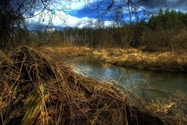 Skierniewice Rawka - Bolimowski Park krajobrazowy by Hubi10