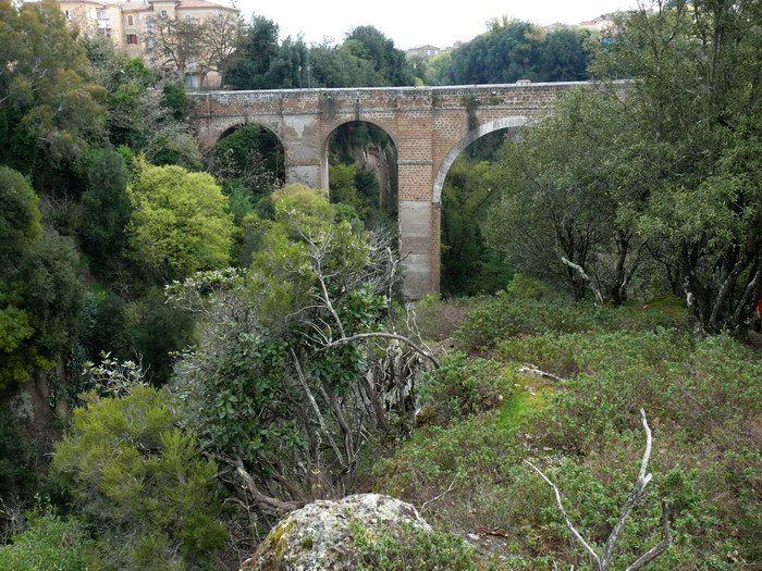 ponte Clementino by FRANCO CRESTONI