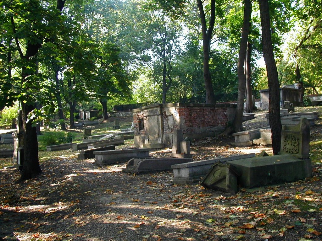 Cracow - old cemetery in Podgórze by Jacq001