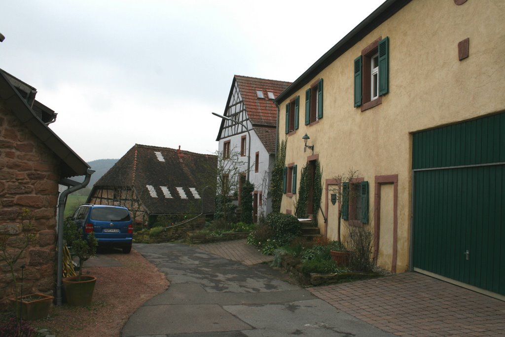 Ingweiler -Motiv am Bliesweg by dhtneuschwander