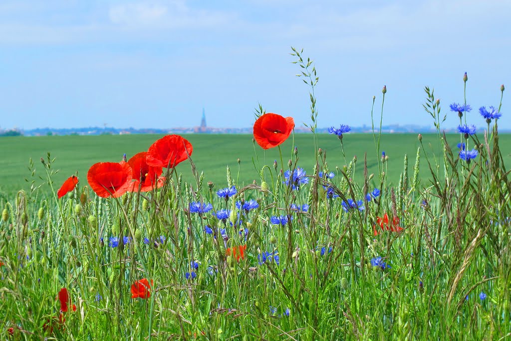 Beautiful View, Zur schönen Aussicht by Rainer D