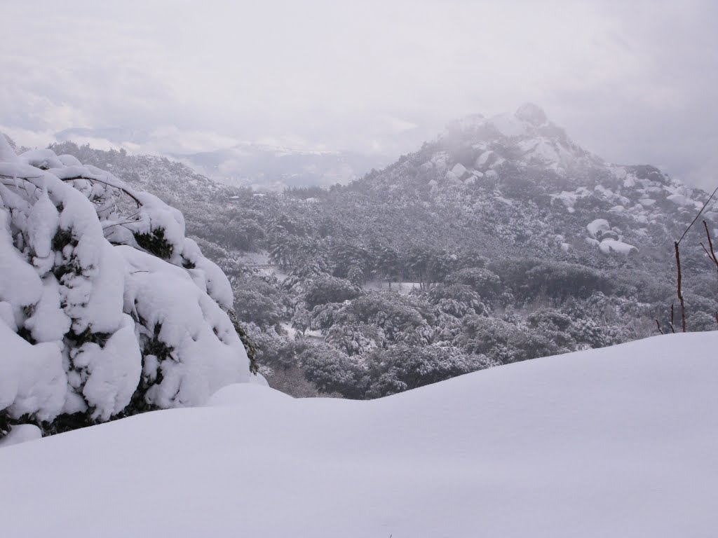 Sardegna - Nuoro - monte Ortobene - inverno by Massimiliano Oppo