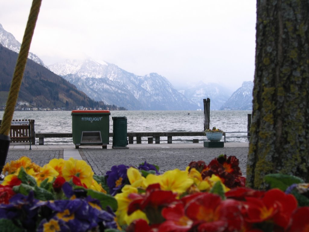 Gmunden - Austria by Geo Cosma