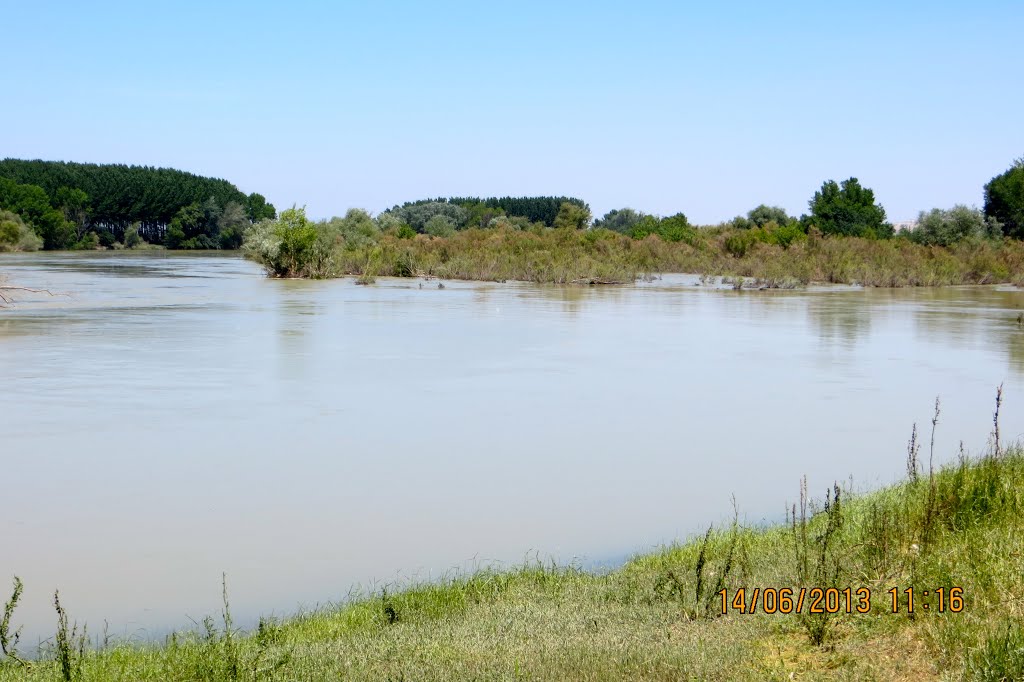 El río Ebro desde la Insula de Barataria (Alcalá de Ebro). España. by María Fernando