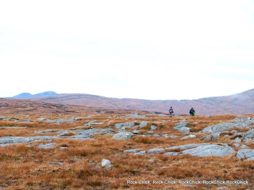 Rocky Landscape by Caroline McGonagle