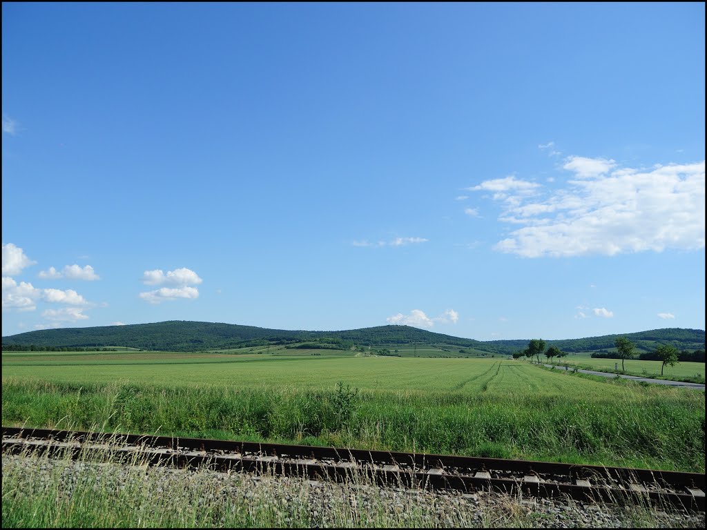 Blick von Hadres auf Buchberg und Steinberg by Robert Heilinger