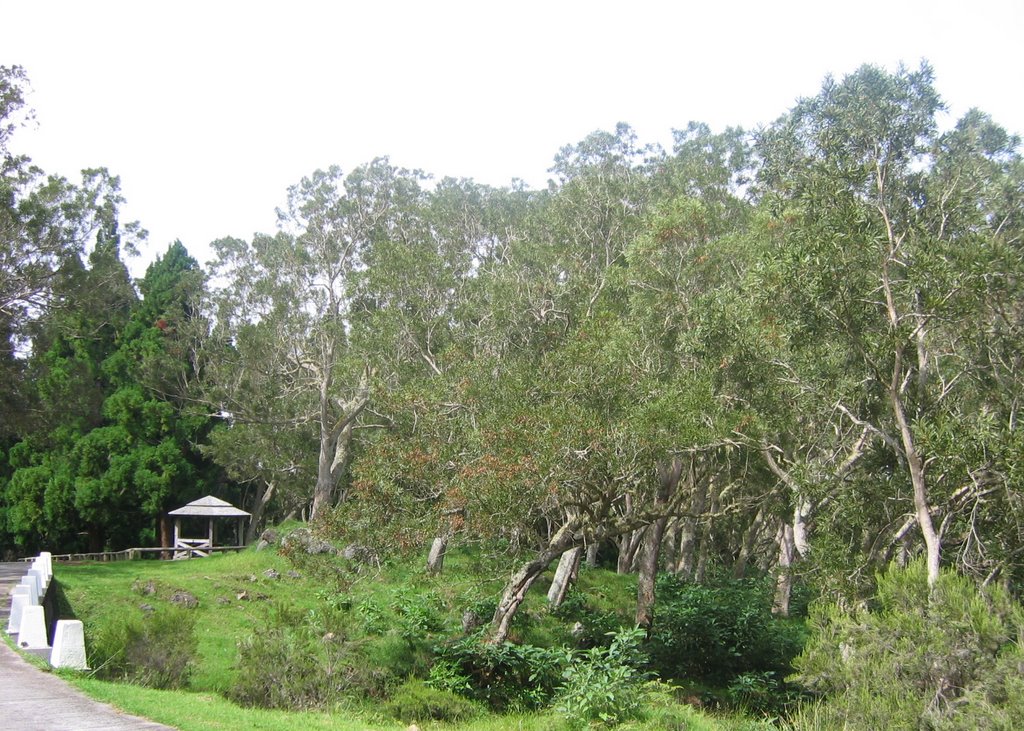 Charmant kiosque sur la route forestière des Tamarins by Christine Girault