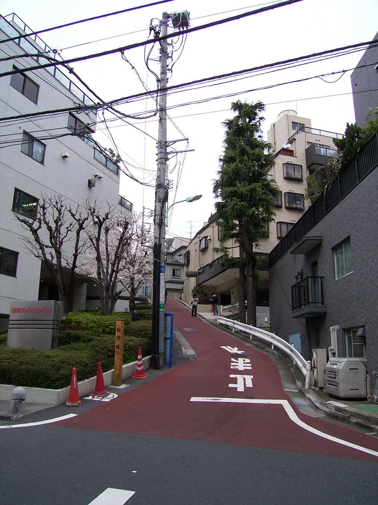 Inari-zaka Slope;稲荷坂 by NozakaArchitects&Design,Tokyo