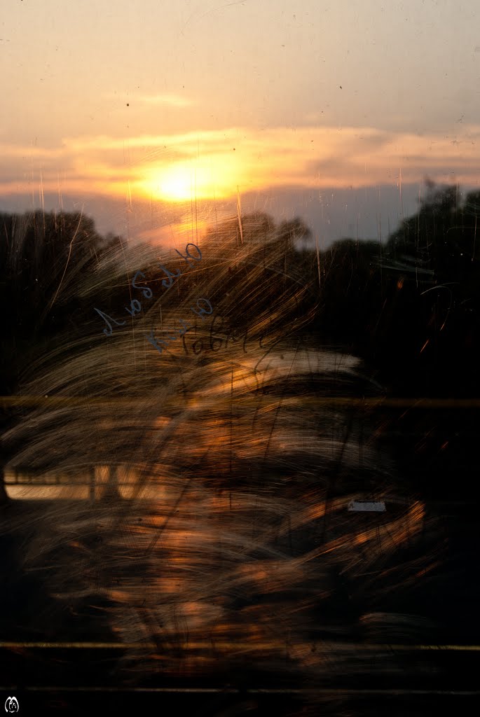 Bridge over the River Seim, Lgov. by L2ech