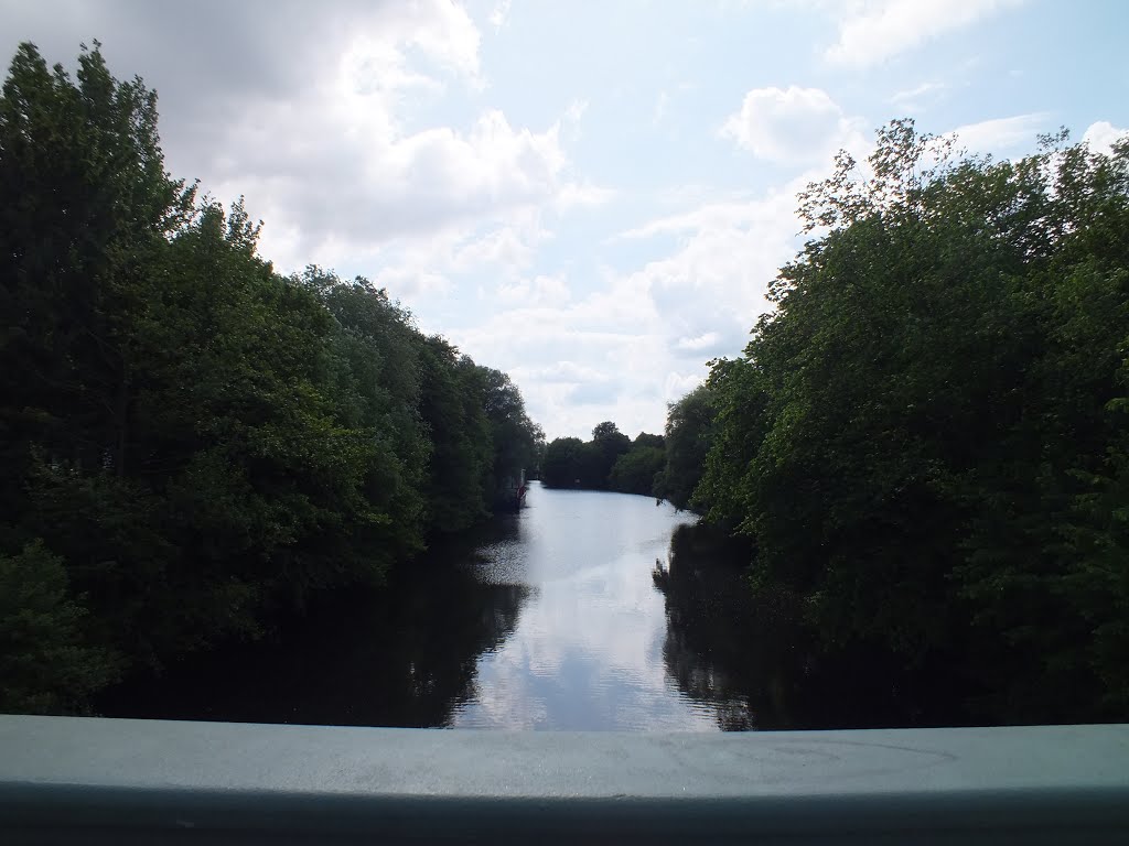 Trees,,water,, trees by CarlosJoaoRebolo