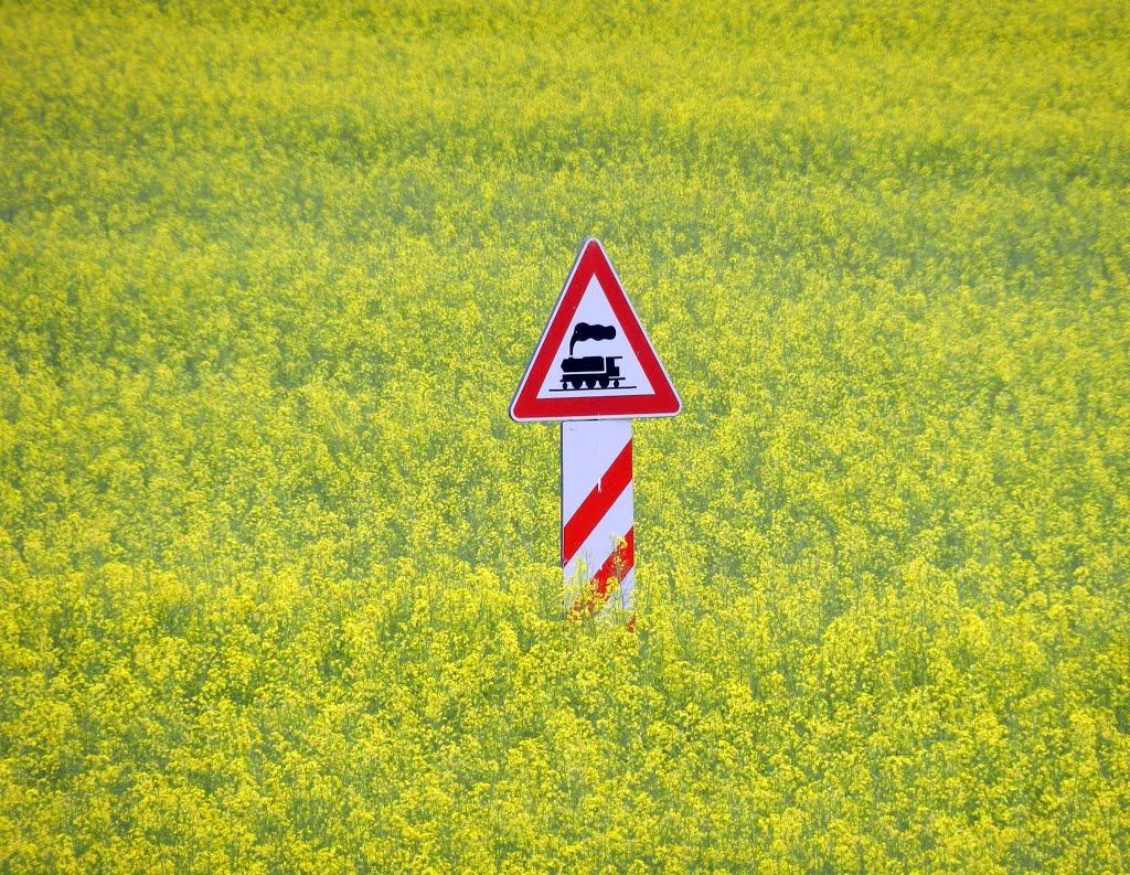 Pericolo passaggio treni di campagna - Aprile 2013 by The Red