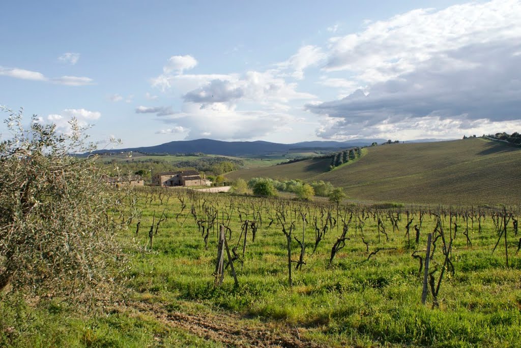 Tuscany. Italy. by wurkut