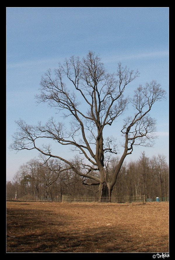 Russia, Gatchina by Gleb Drapkin