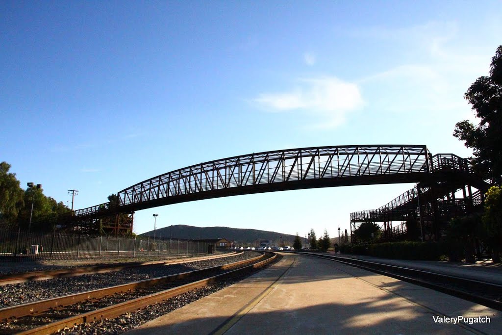 California Railroad San Luis Obispo Bridge by valery pugatch