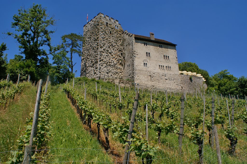 Schloss Habsburg by Peter van der Wielen