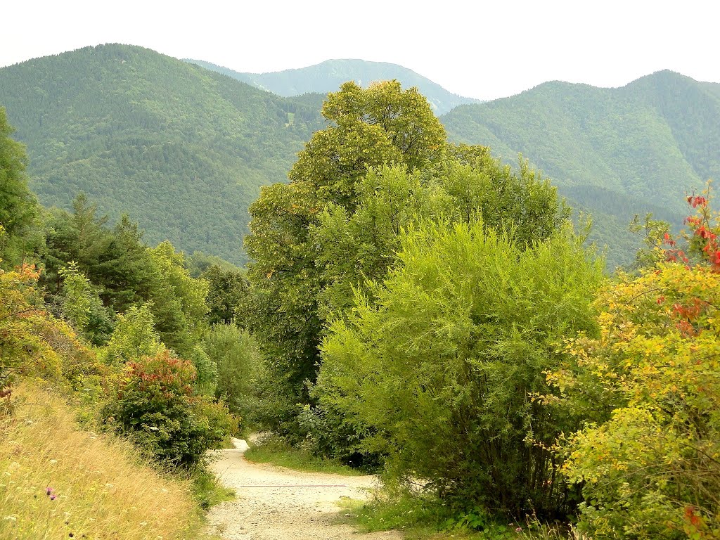 Slovakia , Vlkolínec - View of the mountains... by Anna Stasielowicz