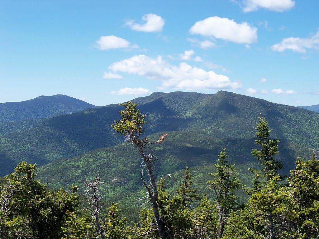 View from Mt. Moriah summit (looking southwest) by Jon Platek