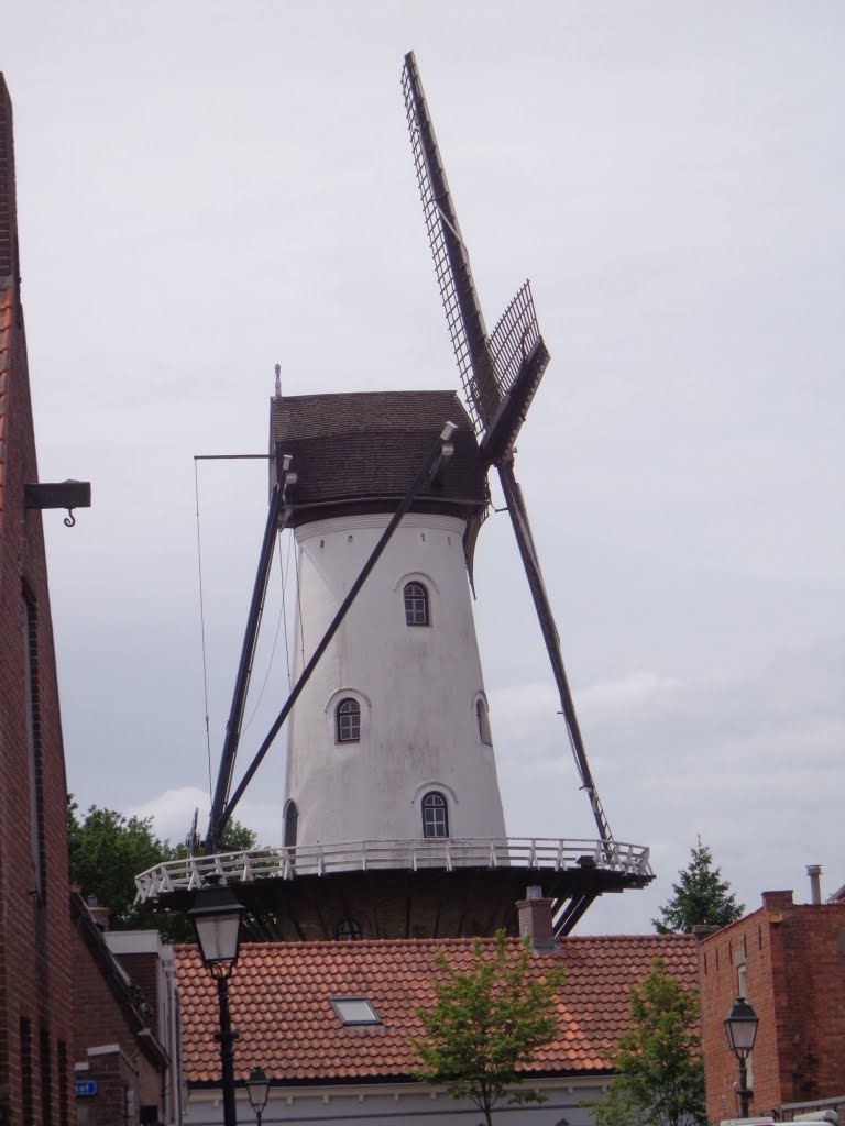 Molen IJzendijke by © rdnjc