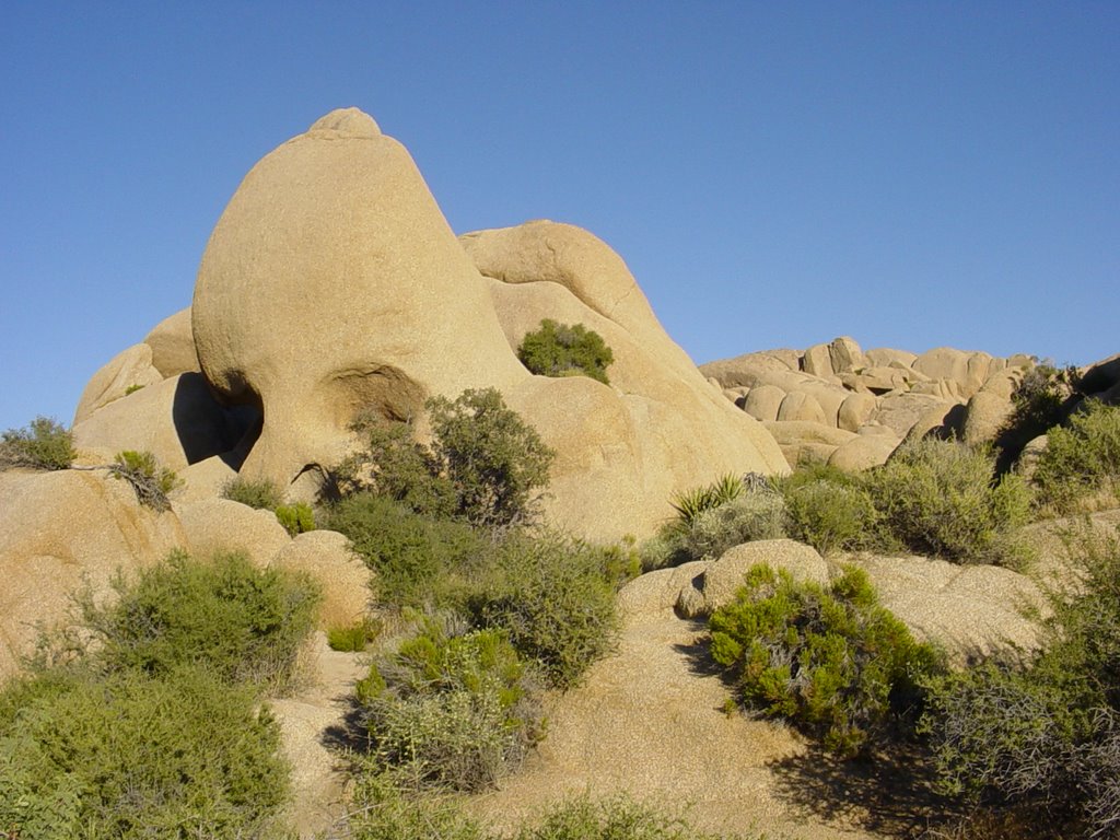 Skull Rock, Joshua Tree Park by Polylux