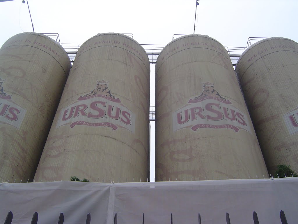 The "towers" of Ursus, high above the environment by Wim Rietberg