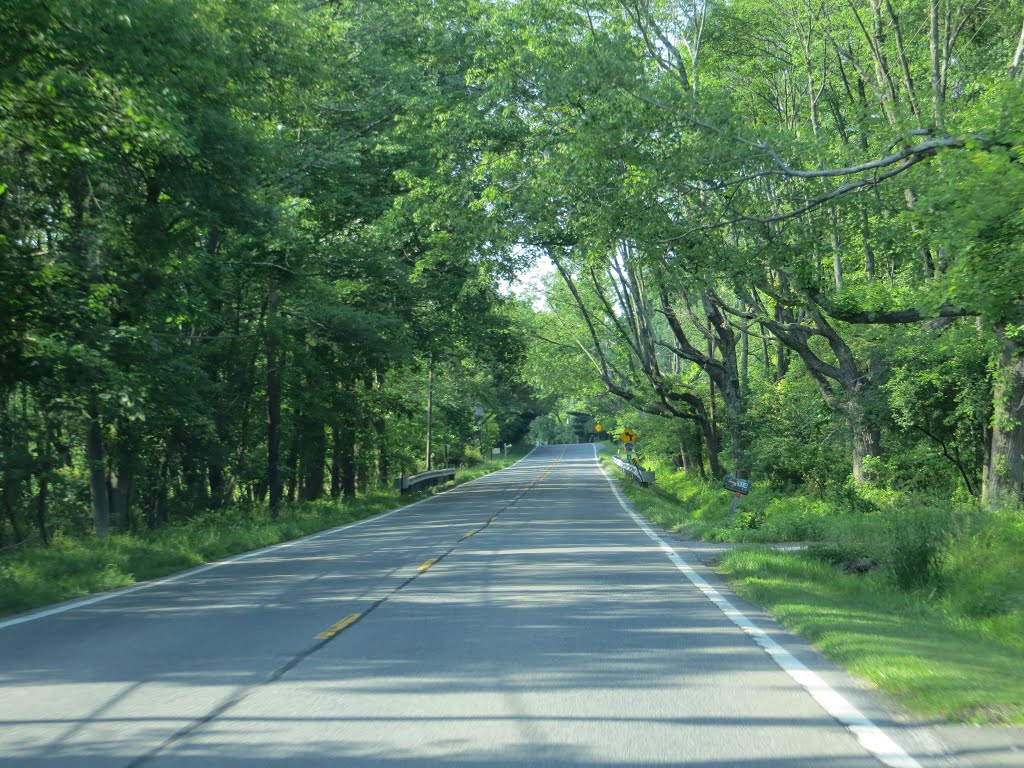 County Road 519 by Adam Elmquist