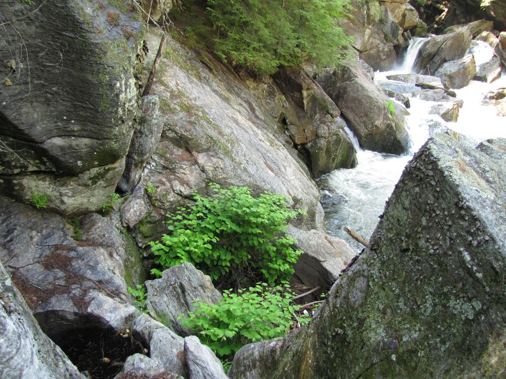 Cavendish Gorge; Middle Falls & Pot Holes by Chris Sanfino