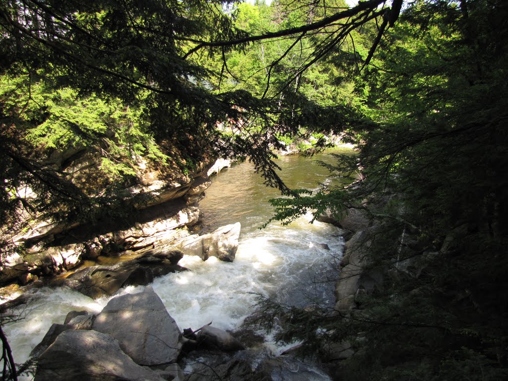 Cavendish Gorge; Lower Falls (~10') by Chris Sanfino