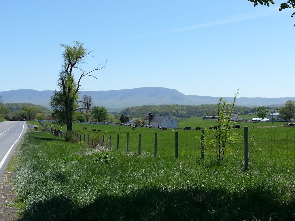 Montagnes près d'Harrisonburg by Bog