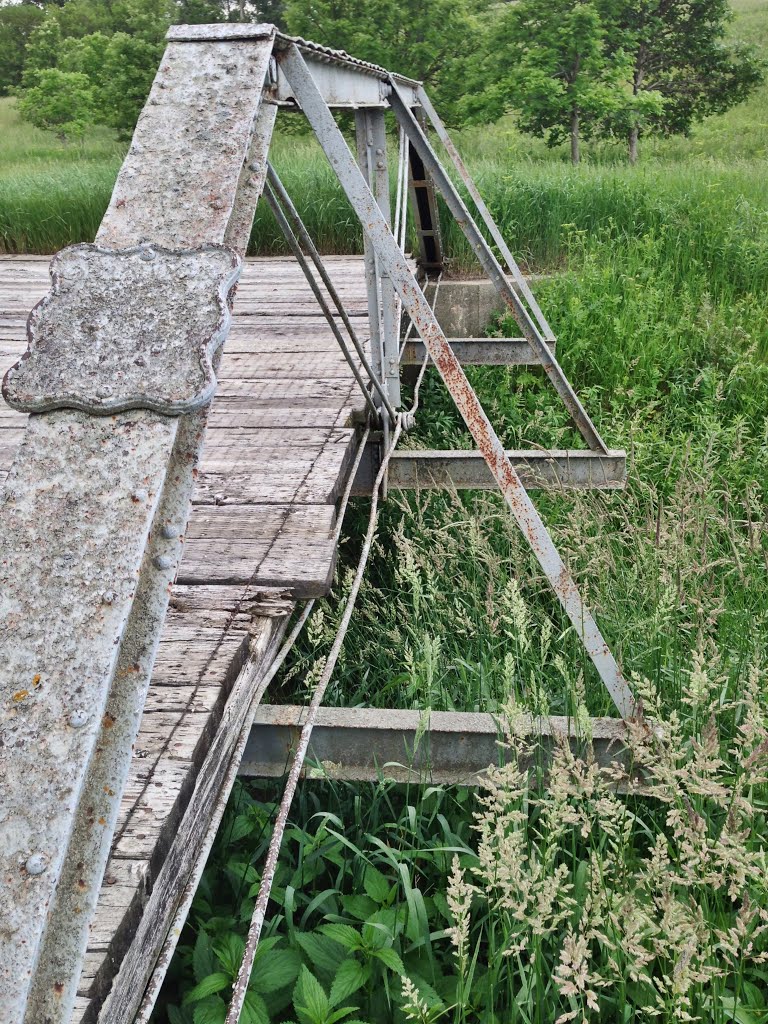 Field Bridge in Cedar County by KingHawkFan