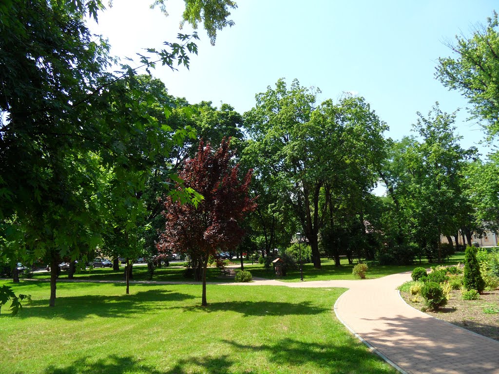 Gyömrő, Szabadság tér by Lorant