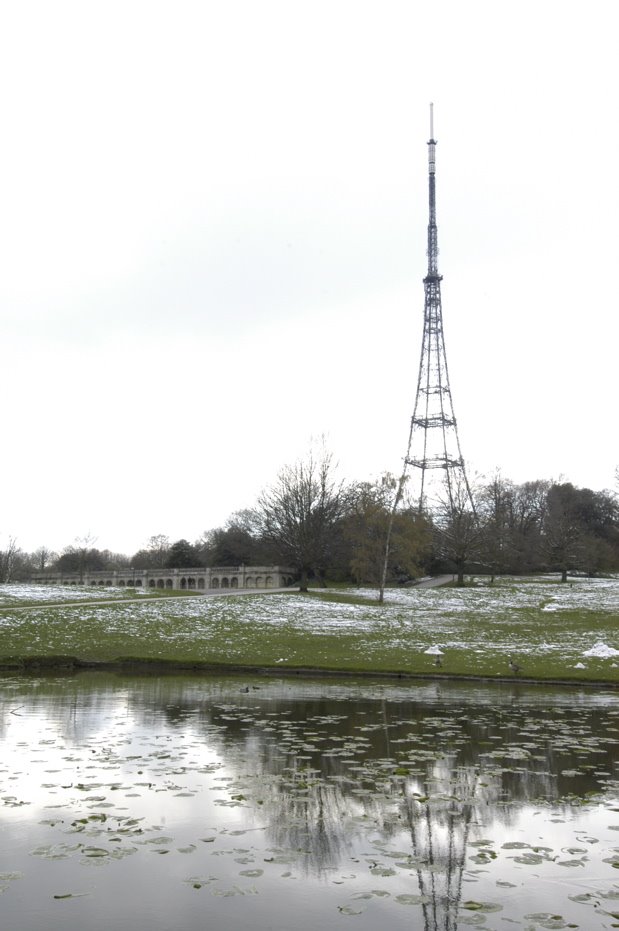 View of Tower from Crystal Palace Park by tfk47