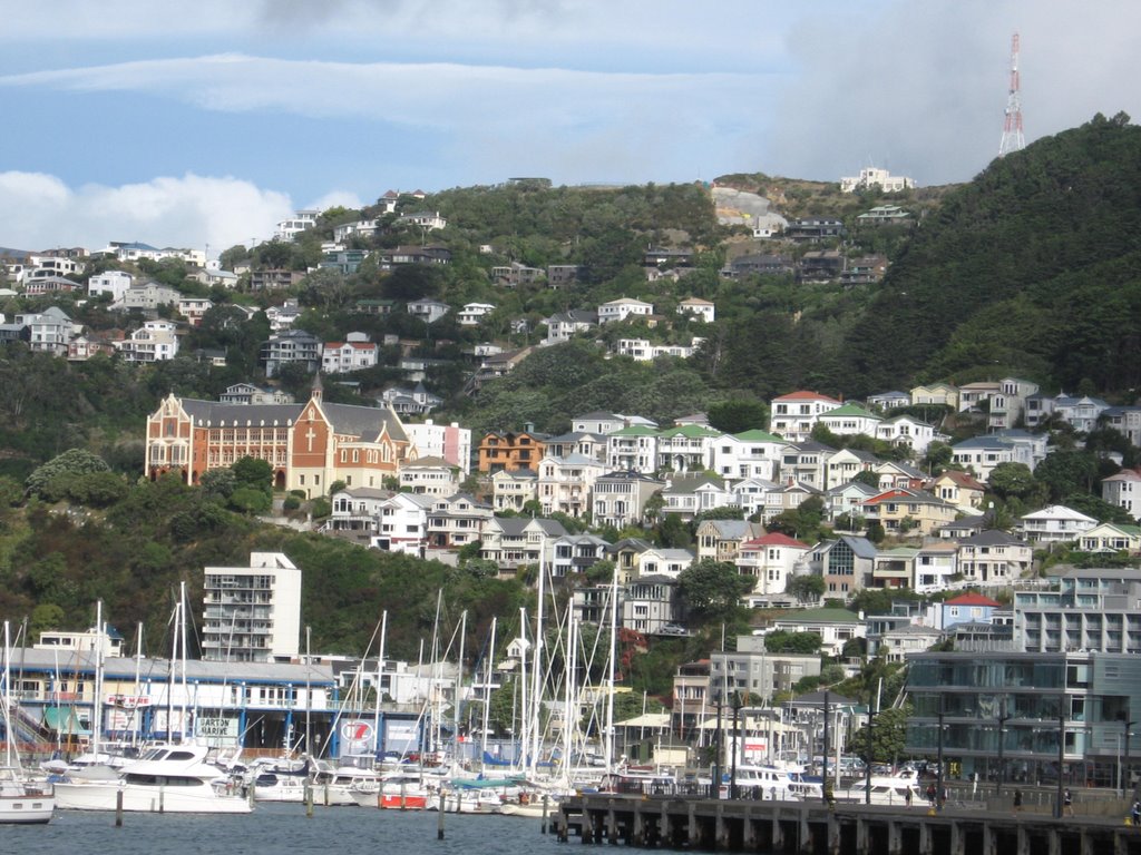 View of Wellington from Wellington City waterfront. by Anumati