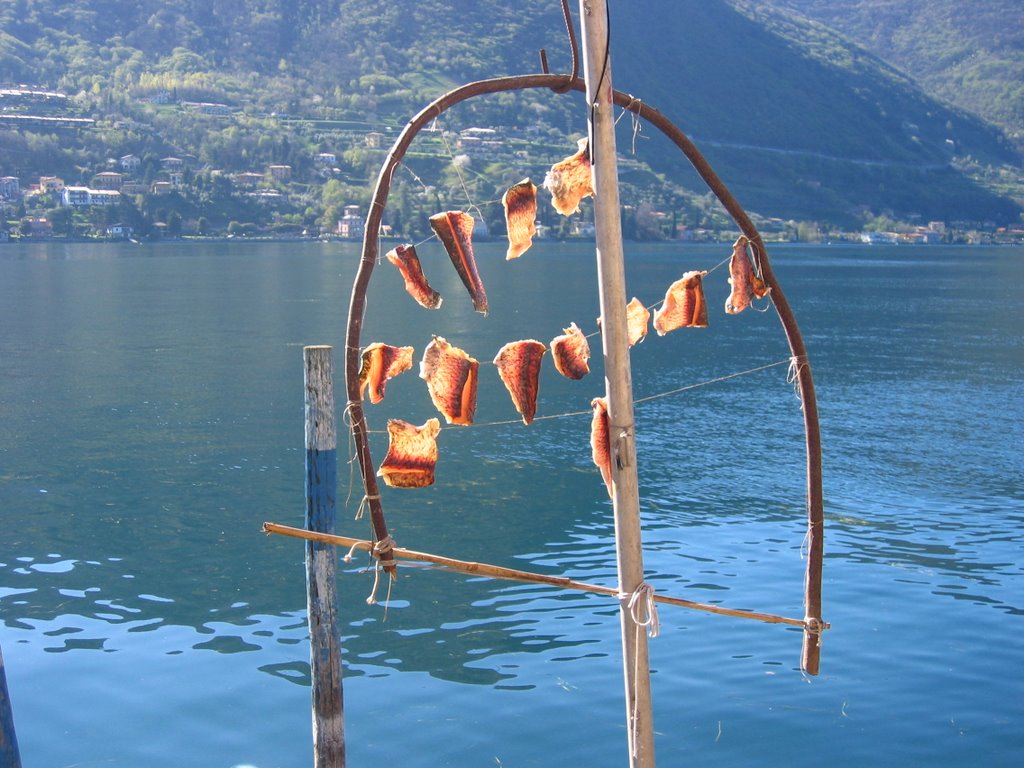 Sistema tradizionale di essiccatura pesci, sul lago d' Iseo. by Robert@Dona