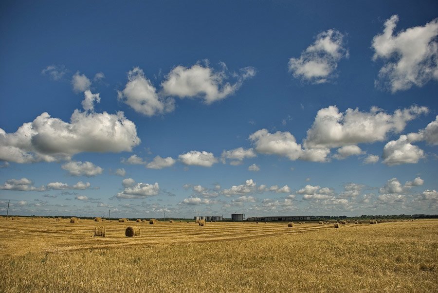 Field near Myrniy 2 by Oleksandr Moroz (Frost)