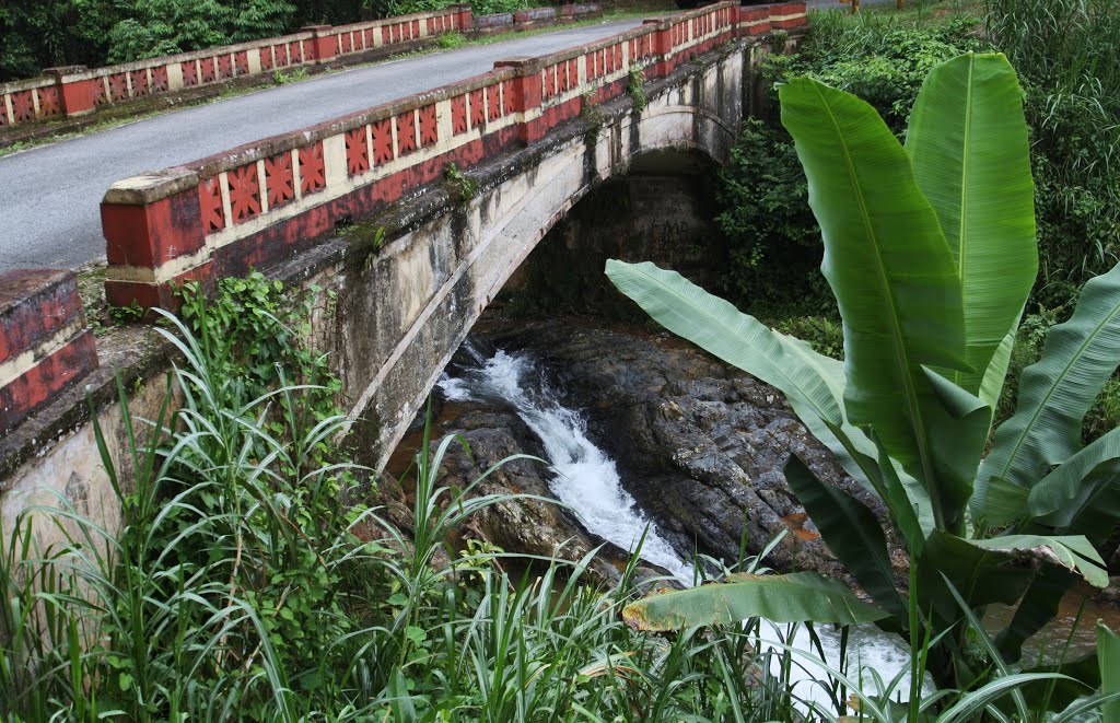 Río del Salto Curet-Maricao by Ricardo David Jusino