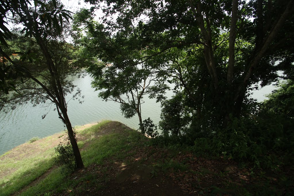 Embalse Luchetti-Yauco by Ricardo David Jusino