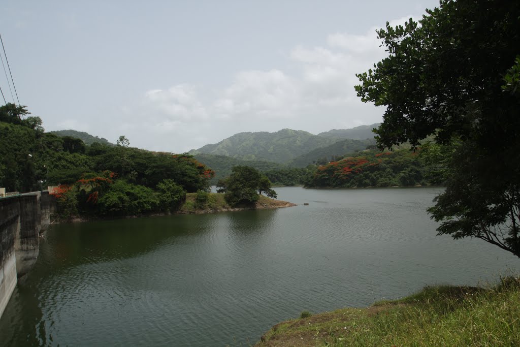 Embalse Luchetti-Yauco by Ricardo David Jusino