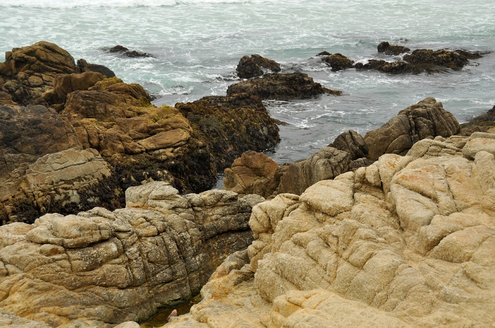 17 Mile Drive, CA by faungg